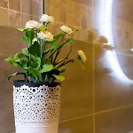 Appartement à 5min Du Palais Des Festivals *